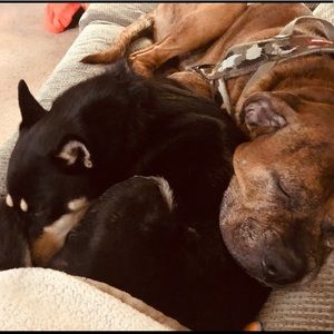 Meet your Posher, Kathy